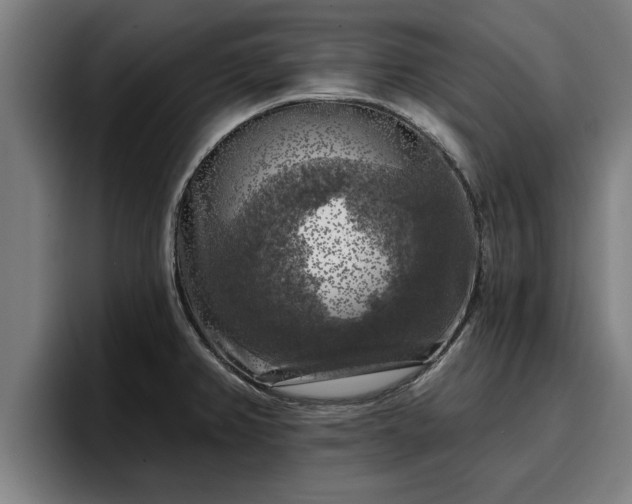 X0000094941382200712061222