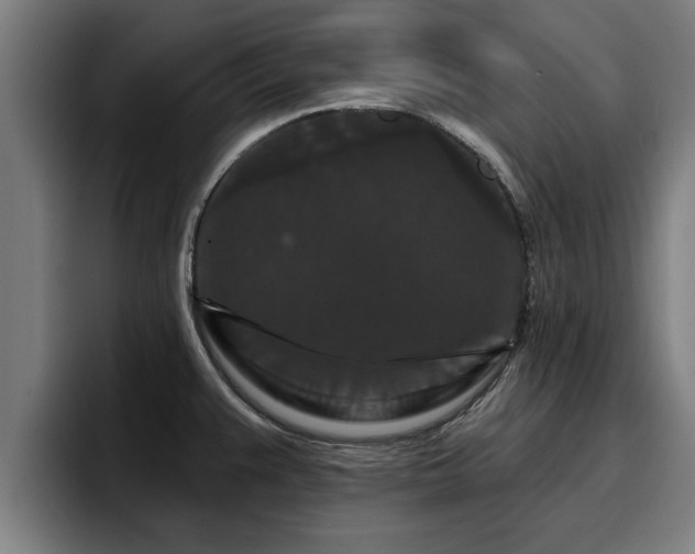 X0000094941383200712061222