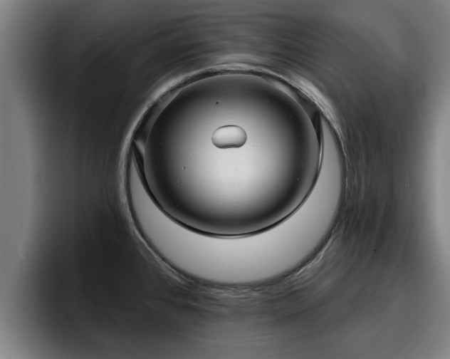 X0000094941384200712061222