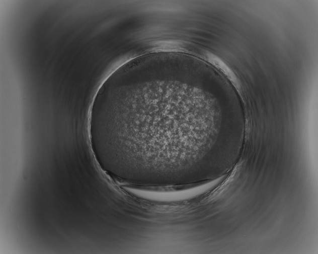 X0000094941386200712061222