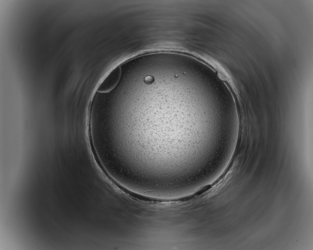 X0000094941390200712061222