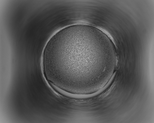 X0000094941391200712061222