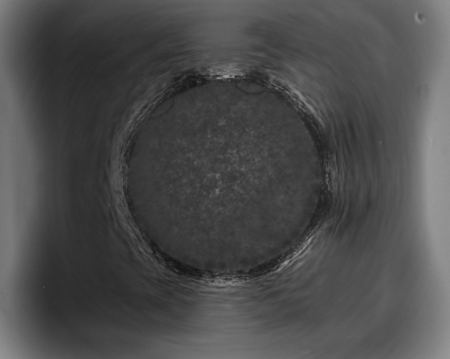 X0000094941393200712061222