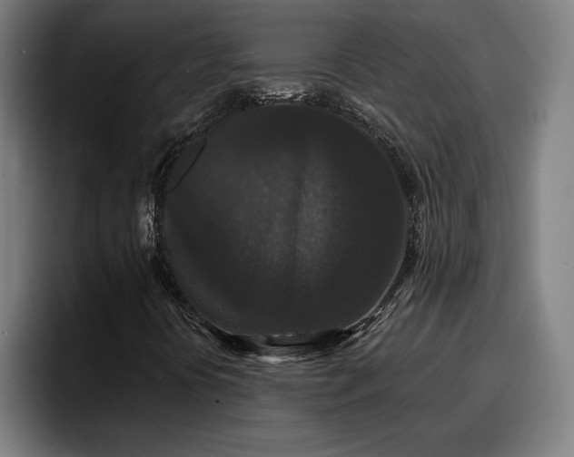 X0000094941394200712061222