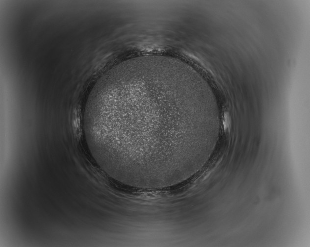 X0000094941396200712061222