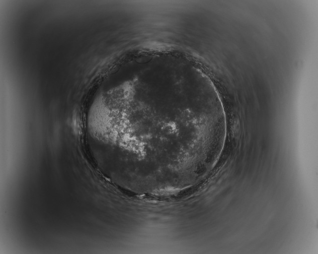 X0000094941397200712061222