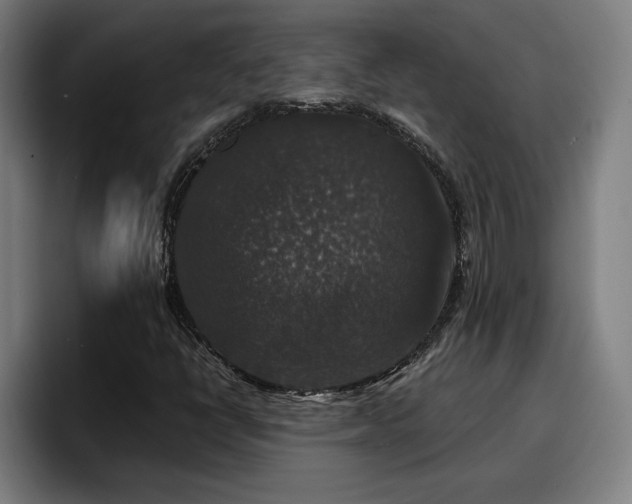 X0000094941398200712061222