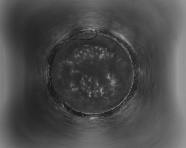 X0000094941399200712061222