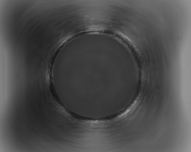 X0000094941401200712061222