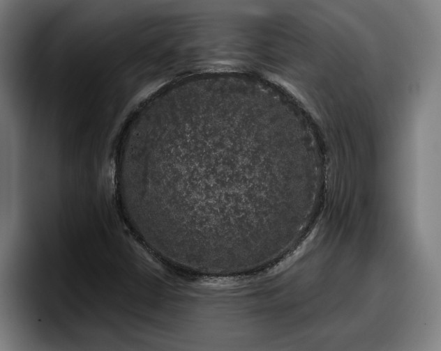 X0000094941402200712061222