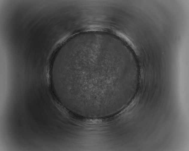 X0000094941403200712061222