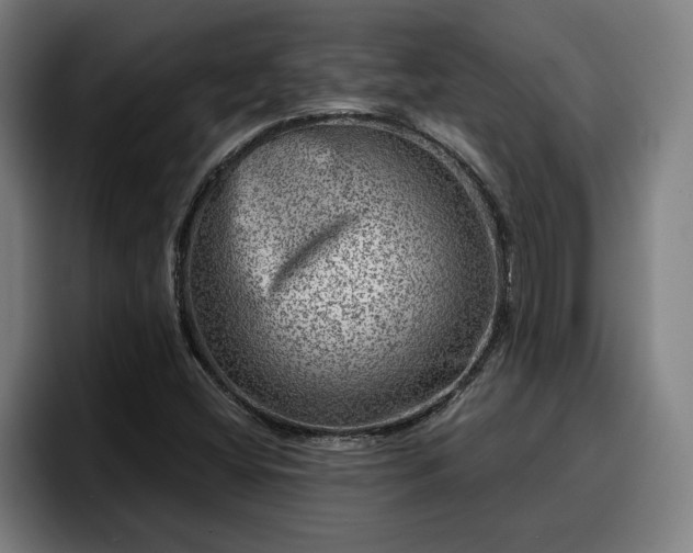 X0000094941404200712061222