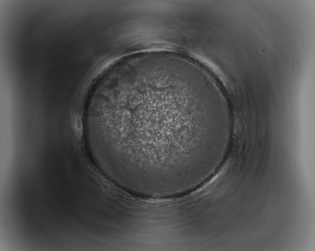 X0000094941407200712061222