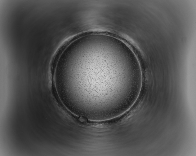 X0000094941408200712061222