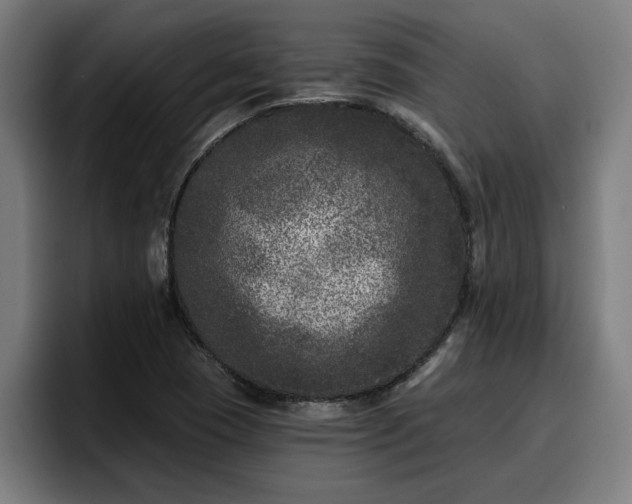 X0000094941409200712061222