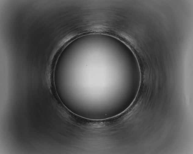 X0000094941410200712061222