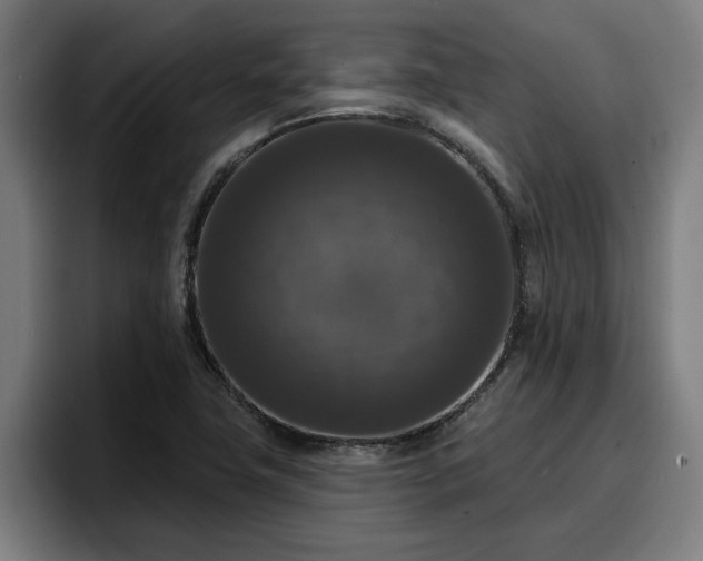 X0000094941411200712061222