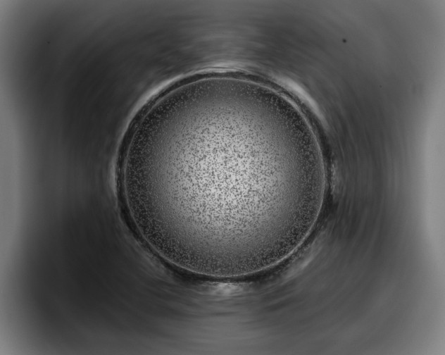 X0000094941412200712061222