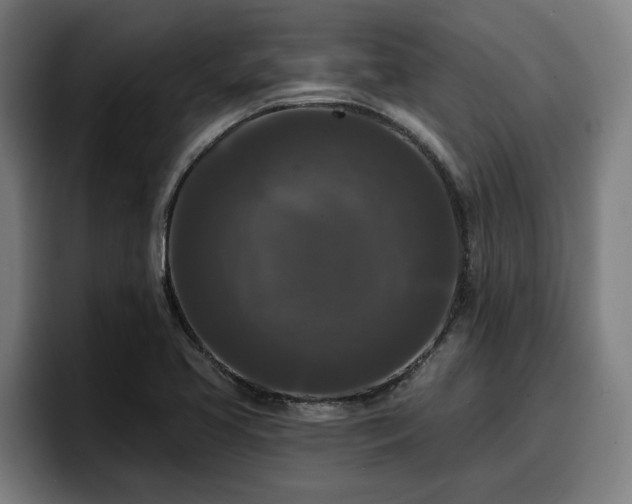 X0000094941413200712061222