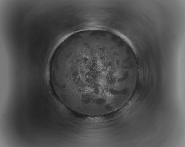 X0000094941415200712061222