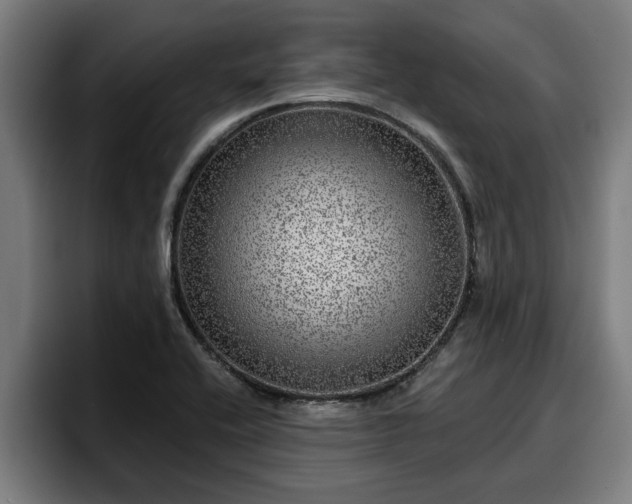 X0000094941416200712061222