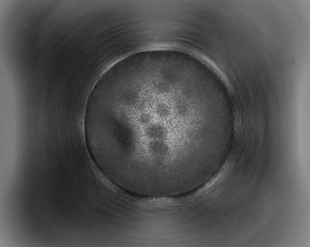 X0000094941417200712061222