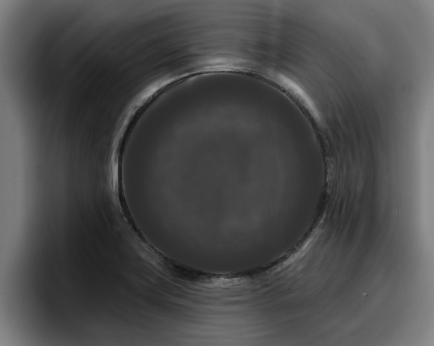 X0000094941419200712061222