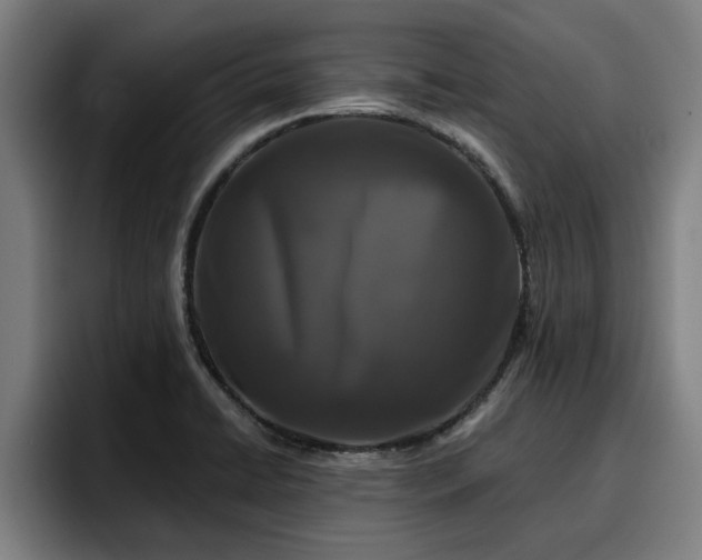 X0000094941422200712061222