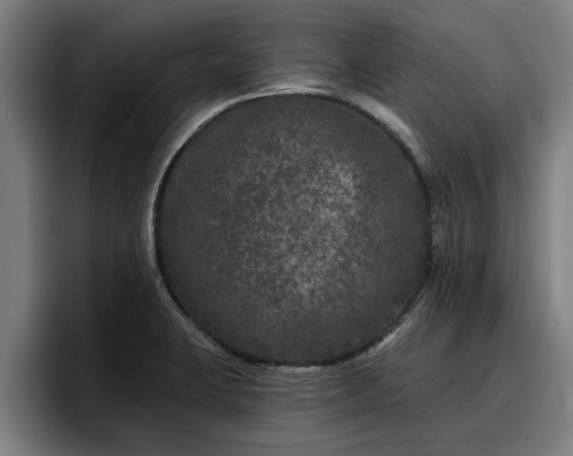 X0000094941423200712061222