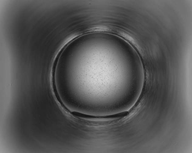 X0000094941426200712061222