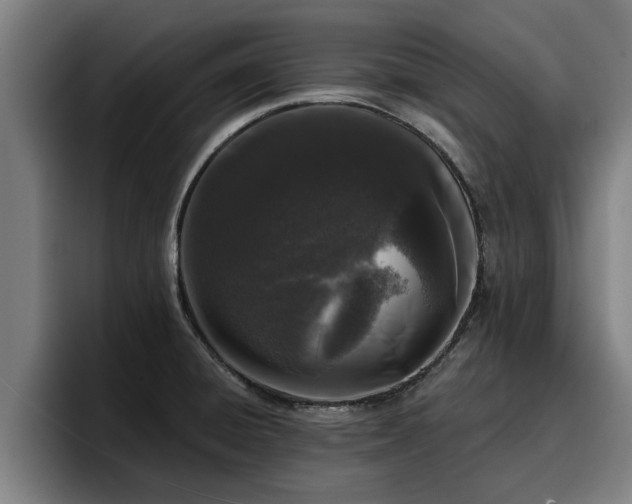 X0000094941428200712061222