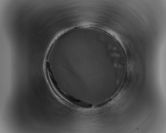 X0000094941429200712061222