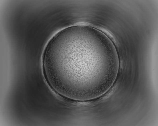 X0000094941430200712061222