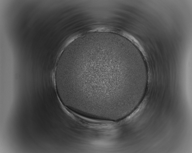 X0000094941433200712061222