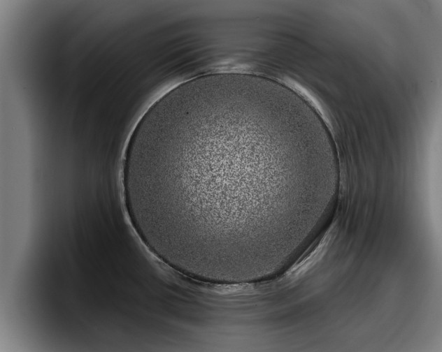 X0000094941434200712061222