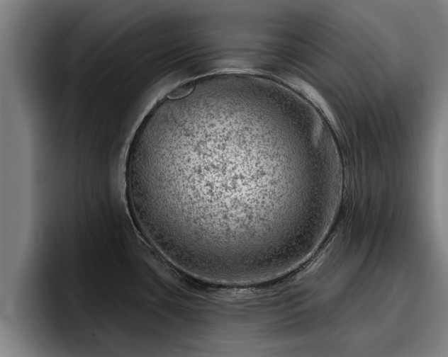 X0000094941435200712061222