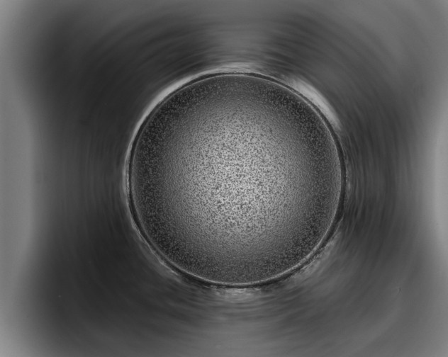 X0000094941436200712061222