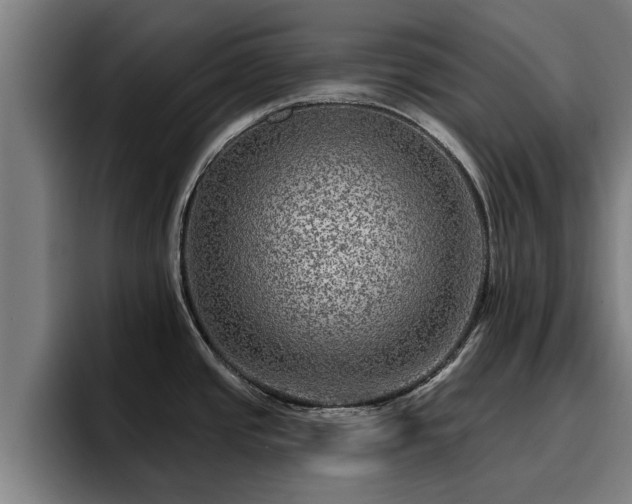 X0000094941437200712061222