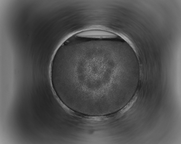 X0000094941438200712061222