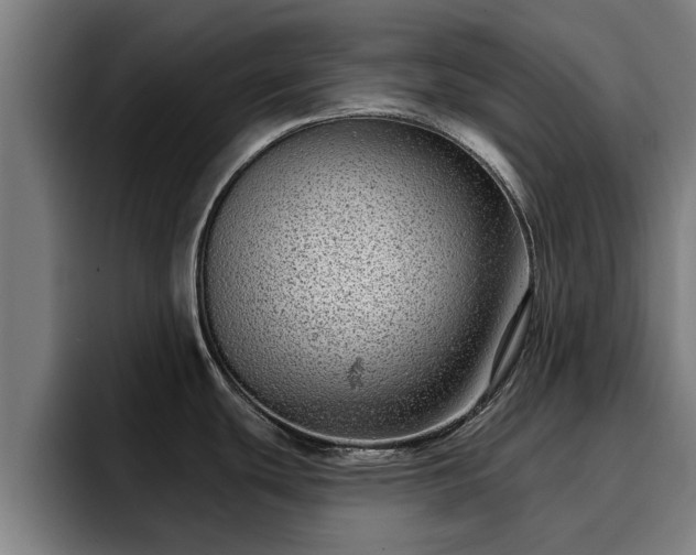 X0000094941439200712061222