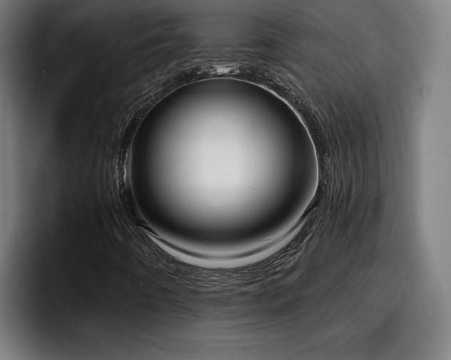 X0000094941442200712061222