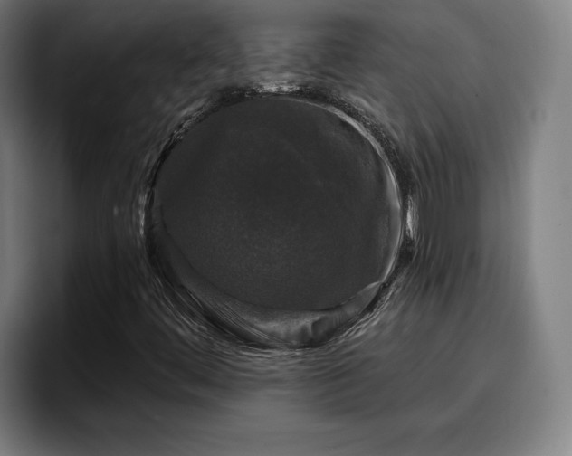 X0000094941444200712061222