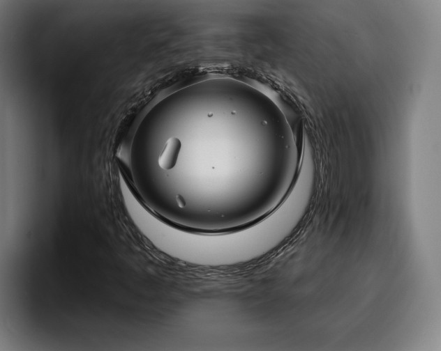 X0000094941445200712061221