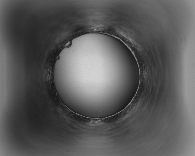 X0000094941447200712061221