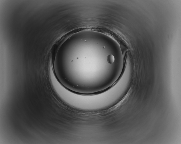 X0000094941449200712061221