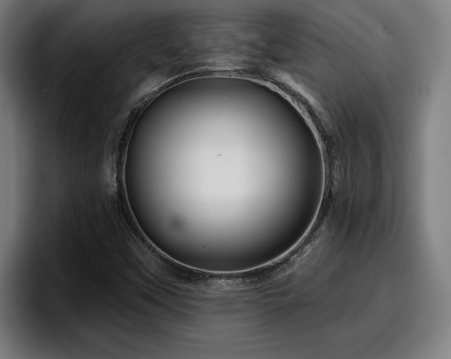 X0000094941451200712061221