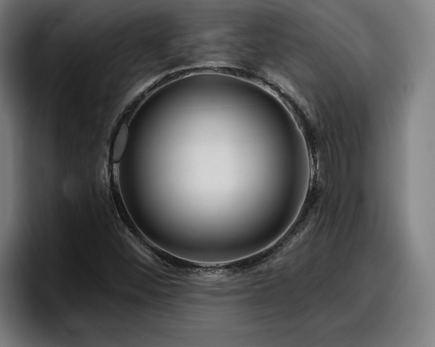 X0000094941452200712061221