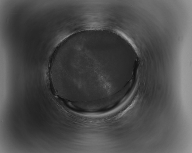 X0000094941453200712061221