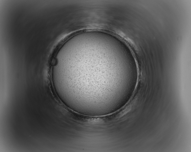 X0000094941454200712061221