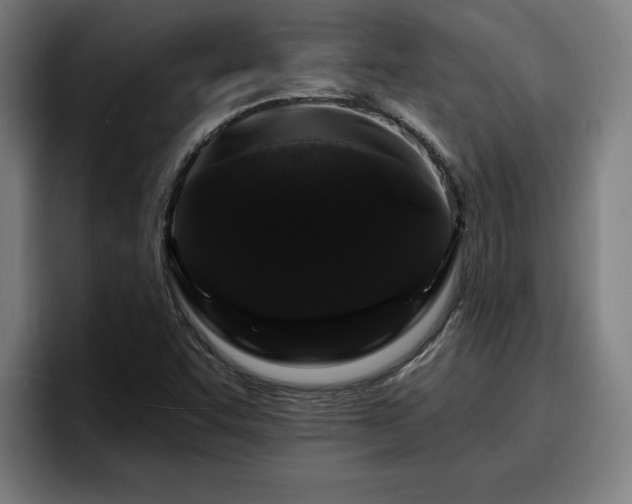 X0000094941455200712061221